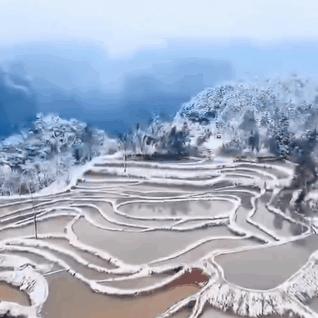 张家界旅游攻略，探秘阿凡达悬疑山水的终极指南