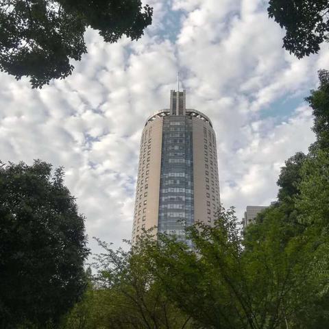 焦作天气预报,明日晴转多云,气温回升宜出行 焦作天气预报,明日晴转多云,气温回升宜出行