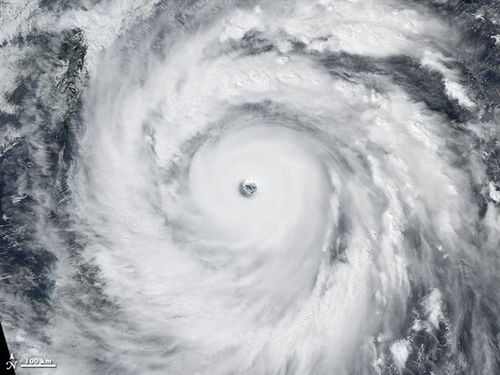实时台风预报,科技守护下的生命防线 实时台风预报,科技守护下的生命防线