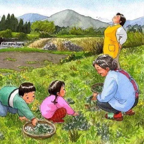 昆明天气预报15天查询，掌握春城天气脉搏，出行生活更从容