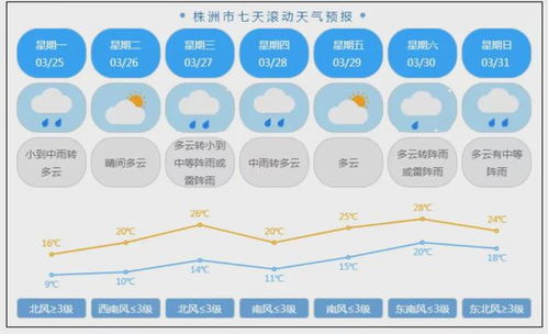 株洲市未来15天天气预报详解,气温波动与出行建议 株洲市未来15天天气预报详解,气温波动与出行建议