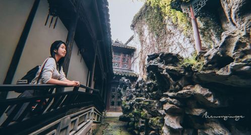 上海的天气，藏着一座城的呼吸