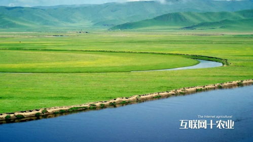 阿鲁科尔沁旗天气预报，草原上的风云变幻与生活指南