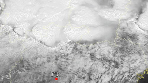 滨州天气预报15天,掌握天气脉动,从容规划生活 滨州天气预报15天,掌握天气脉动,从容规划生活