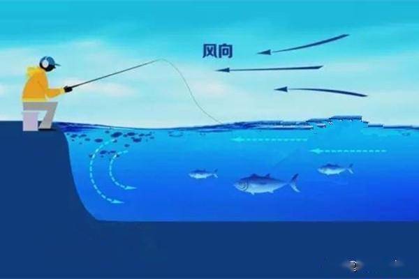 天机可测,渔获可期—钓鱼人专用天气预报的智慧与妙用 天机可测,渔获可期—钓鱼人专用天气预报的智慧与妙用